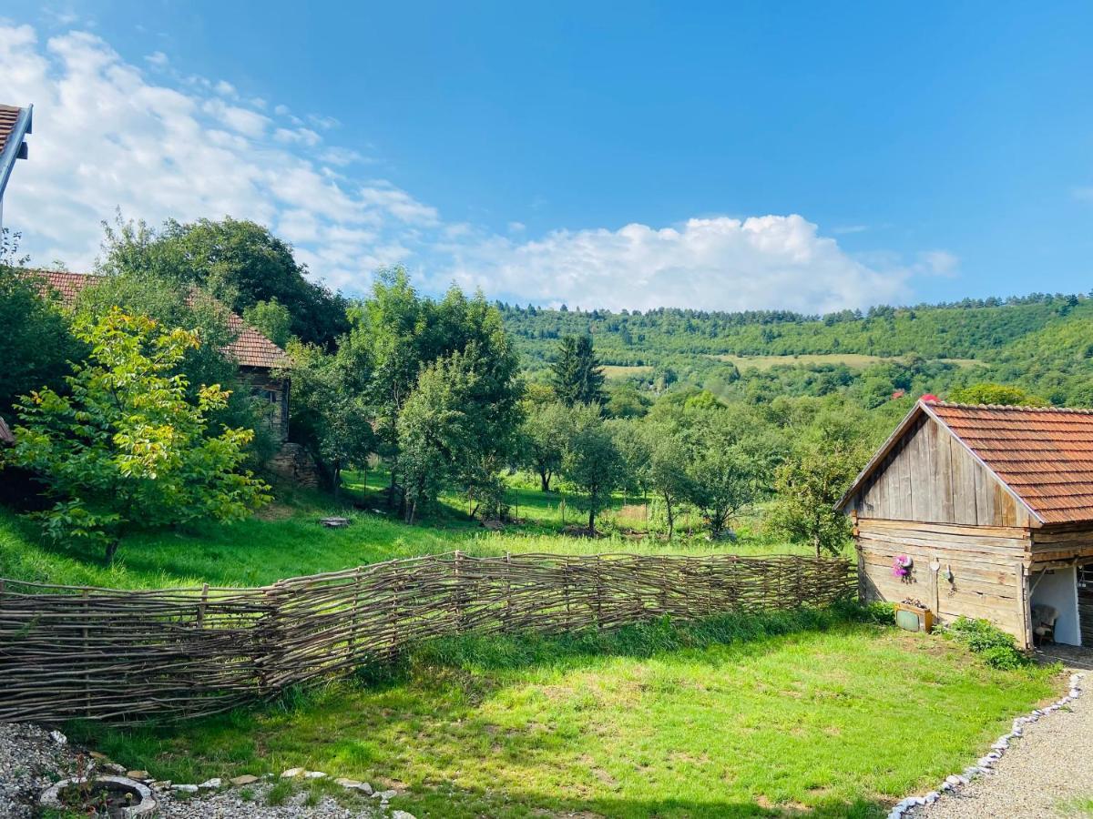 Slow Living Cottage, Dobolii De Sus Exterior photo