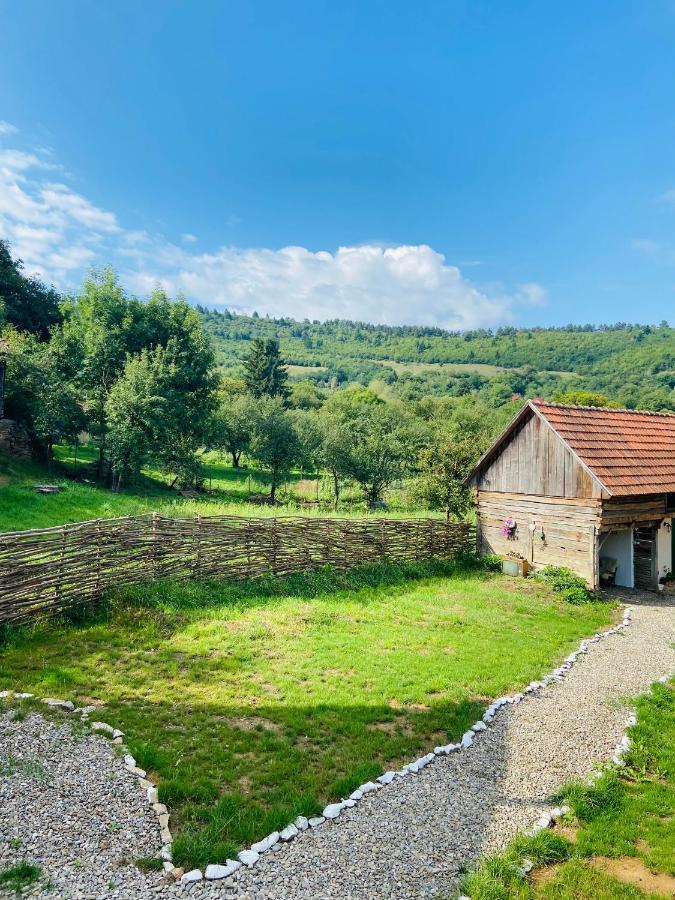 Slow Living Cottage, Dobolii De Sus Exterior photo